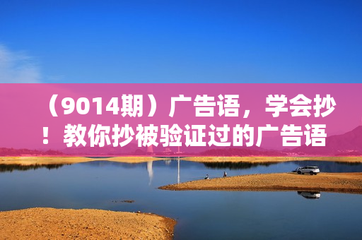 （9014期）广告语，学会抄！教你抄被验证过的广告语，谁抄谁卖爆（9节课）