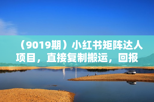 （9019期）小红书矩阵达人项目，直接复制搬运，回报率非常高