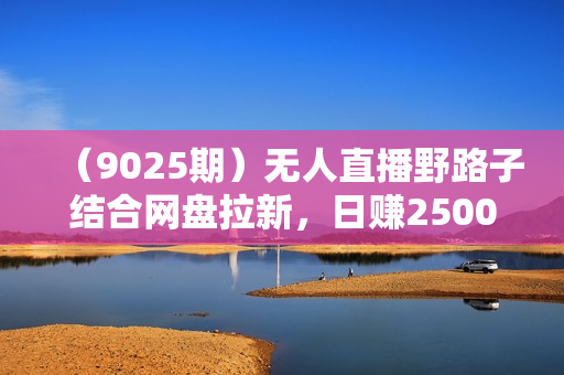 （9025期）无人直播野路子结合网盘拉新，日赚2500+多平台变现，小白无脑轻松上手操作