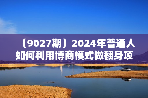 （9027期）2024年普通人如何利用博商模式做翻身项目年入百万，财富自由