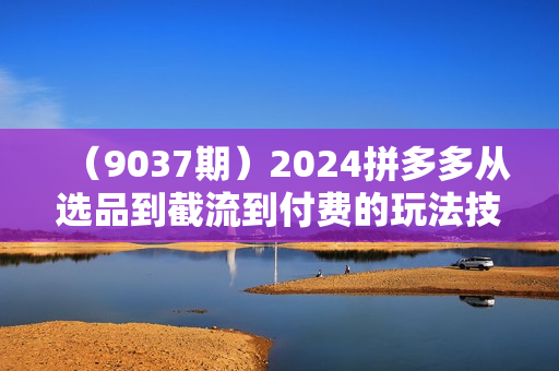 （9037期）2024拼多多从选品到截流到付费的玩法技巧，截流自然流量玩法，高投产玩法