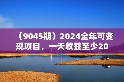 （9045期）2024全年可变现项目，一天收益至少2000+，小白上手快，普通人就要利用互