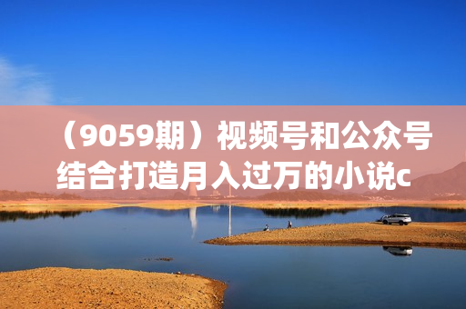（9059期）视频号和公众号结合打造月入过万的小说cps推文项目