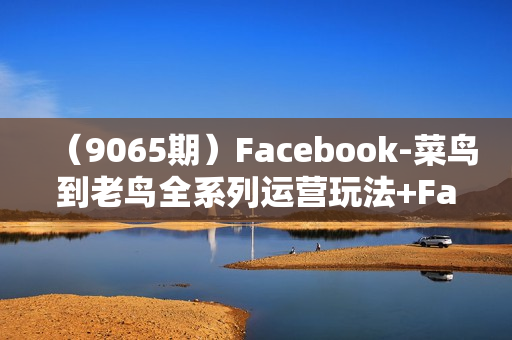 （9065期）Facebook-菜鸟到老鸟全系列运营玩法+Facebook-专业广告投放全系列课程