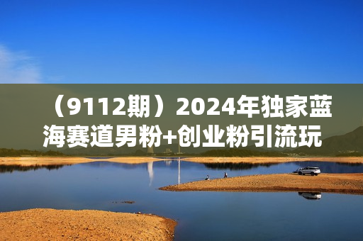 （9112期）2024年独家蓝海赛道男粉+创业粉引流玩法，成人用品单日卖货4W+保姆教程