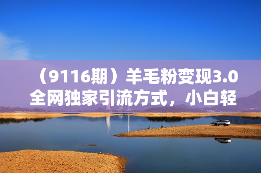 （9116期）羊毛粉变现3.0 全网独家引流方式，小白轻松上手，日入500+