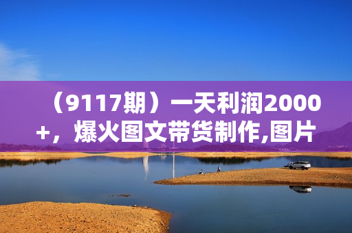 （9117期）一天利润2000+，爆火图文带货制作,图片文案视频AI一键式生成，无需操作