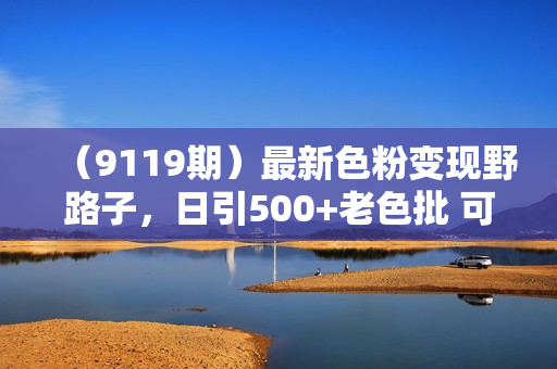 （9119期）最新色粉变现野路子，日引500+老色批 可不加好友直接变现 小白轻松日入700+