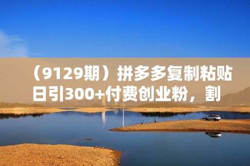 （9129期）拼多多复制粘贴日引300+付费创业粉，割韭菜月变现六位数最新教程！