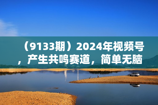 （9133期）2024年视频号，产生共鸣赛道，简单无脑，一分钟一条视频，日入1000+