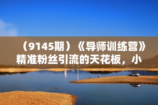 （9145期）《导师训练营》精准粉丝引流的天花板，小白月入2w