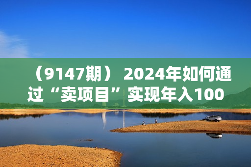 （9147期） 2024年如何通过“卖项目”实现年入100W