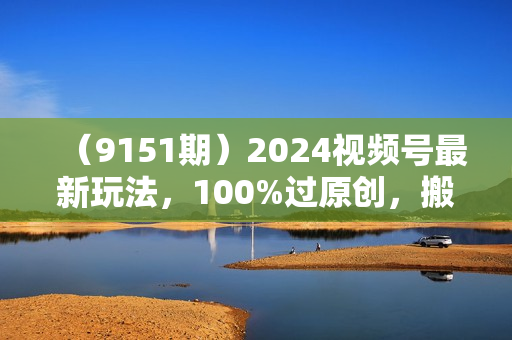 （9151期）2024视频号最新玩法，100%过原创，搬用机器人视频掘金，月入10000+