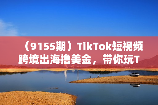 （9155期）TikTok短视频跨境出海撸美金，带你玩TikTok短视频（41节课）