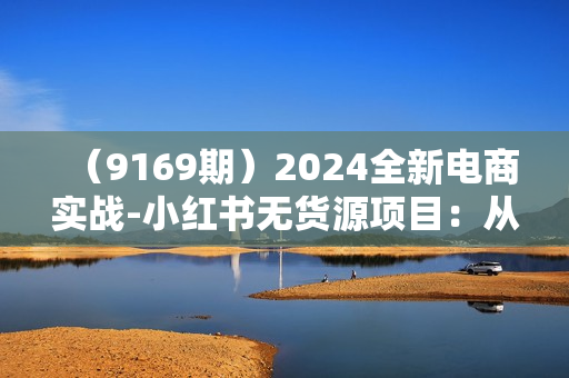 （9169期）2024全新电商实战-小红书无货源项目：从0到1到100到月入10w+