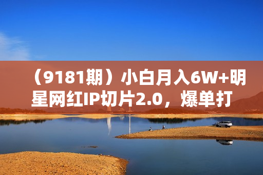 （9181期）小白月入6W+明星网红IP切片2.0，爆单打法（介绍、授权、实操、工具箱）