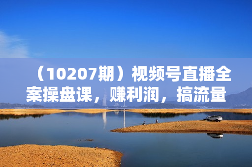 （10207期）视频号直播全案操盘课，赚利润，搞流量，提势能（16节课）