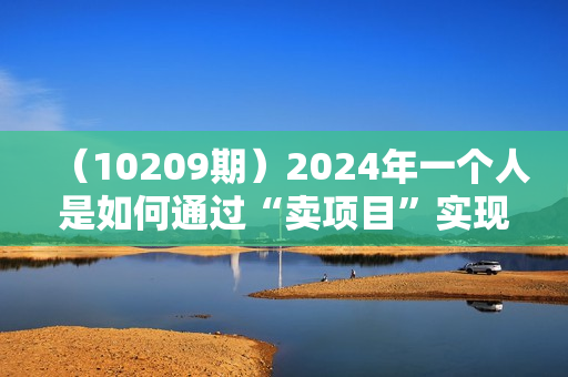 （10209期）2024年一个人是如何通过“卖项目”实现年入100万