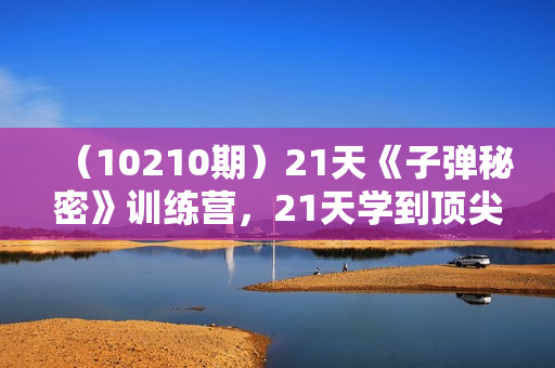 （10210期）21天《子弹秘密》训练营，21天学到顶尖文案大师的策略和技巧