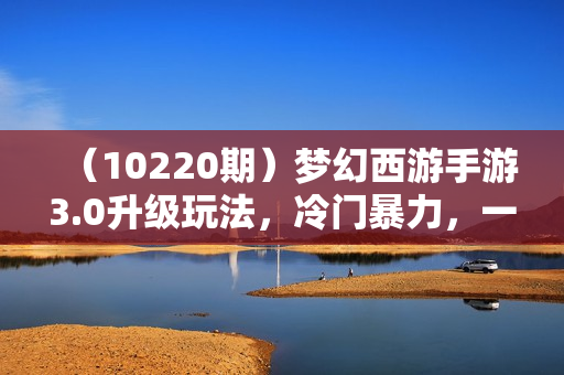 （10220期）梦幻西游手游3.0升级玩法，冷门暴力，一单35，一部手机或者平板即可操