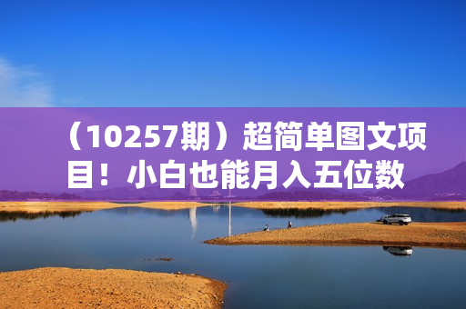 （10257期）超简单图文项目！小白也能月入五位数