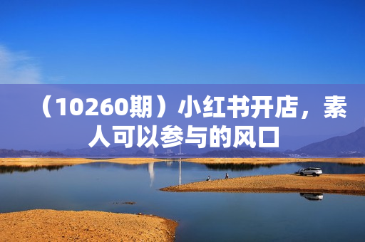 （10260期）小红书开店，素人可以参与的风口