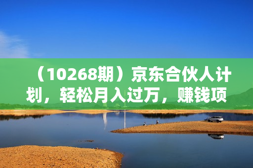 （10268期）京东合伙人计划，轻松月入过万，赚钱项目，只需复制粘贴，小白也能做。