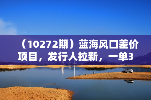 （10272期）蓝海风口差价项目，发行人拉新，一单35，小白复制粘贴就能搞钱！日入30