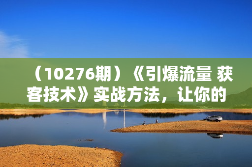 （10276期）《引爆流量 获客技术》实战方法，让你的生意客户裂变渠道裂变（13节）