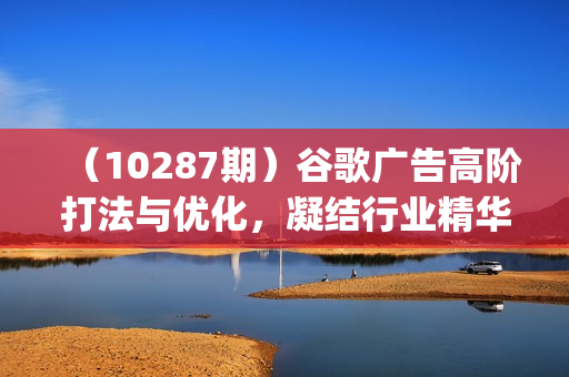 （10287期）谷歌广告高阶打法与优化，凝结行业精华/带你抓住流量红利/最大化ROI(23节)