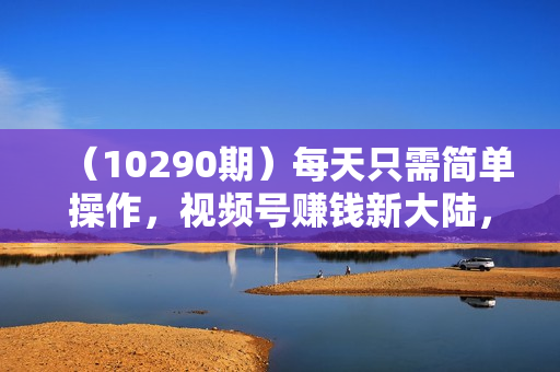 （10290期）每天只需简单操作，视频号赚钱新大陆，日入过千不是梦，小白轻松上手，