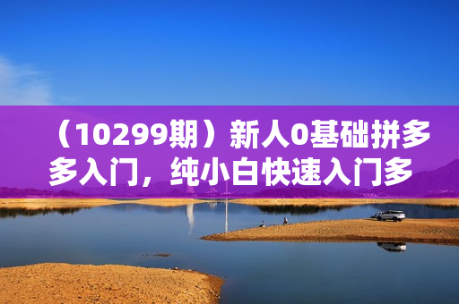 （10299期）新人0基础拼多多入门，纯小白快速入门多多（21节课）