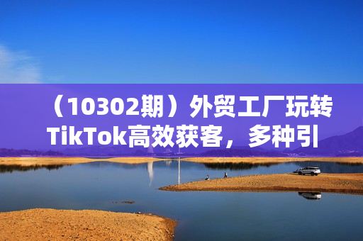 （10302期）外贸工厂玩转TikTok高效获客，多种引流方式/账号定位/爆款打造/全方位讲解
