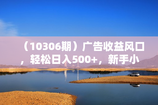 （10306期）广告收益风口，轻松日入500+，新手小白秒上手，互联网风口项目