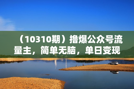 （10310期）撸爆公众号流量主，简单无脑，单日变现2000+