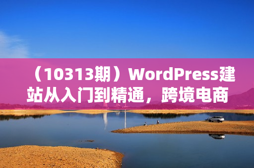 （10313期）WordPress建站从入门到精通，跨境电商建站教程