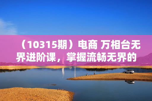 （10315期）电商 万相台无界进阶课，掌握流畅无界的进阶策略（41节课）