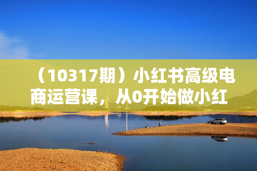 （10317期）小红书高级电商运营课，从0开始做小红书电商（18节课）