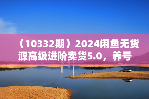 （10332期）2024闲鱼无货源高级进阶卖货5.0，养号＋选品＋上架＋优化＋出单整套流程