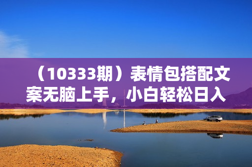 （10333期）表情包搭配文案无脑上手，小白轻松日入500