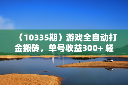 （10335期）游戏全自动打金搬砖，单号收益300+ 轻松日入1000+