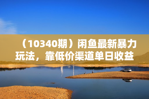（10340期）闲鱼最新暴力玩法，靠低价渠道单日收益1000+，附详细实操及渠道
