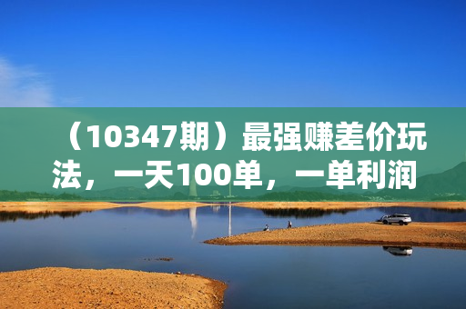 （10347期）最强赚差价玩法，一天100单，一单利润20-30，只要做就能赚，简单无套路