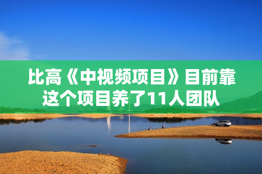 比高《中视频项目》目前靠这个项目养了11人团队