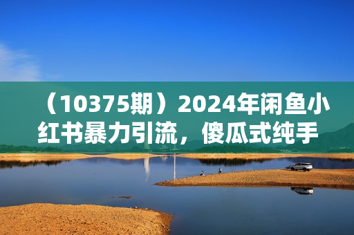（10375期）2024年闲鱼小红书暴力引流，傻瓜式纯手机操作，利润空间巨大，日入3000+