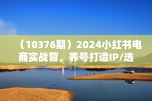 （10376期）2024小红书电商实战营，养号打造IP/选爆品/开店铺/爆款笔记/等等（24节）