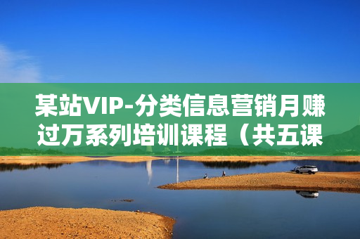 某站VIP-分类信息营销月赚过万系列培训课程（共五课）