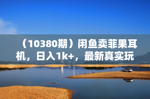 （10380期）闲鱼卖菲果耳机，日入1k+，最新真实玩法教学