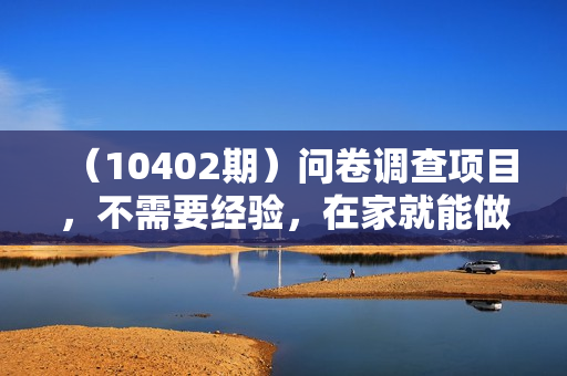 （10402期）问卷调查项目，不需要经验，在家就能做，小白轻松上手，日均100-300