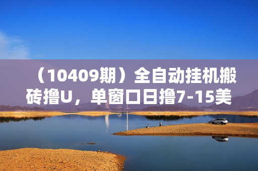 （10409期）全自动挂机搬砖撸U，单窗口日撸7-15美金，日入2000+，可个人操作，工作